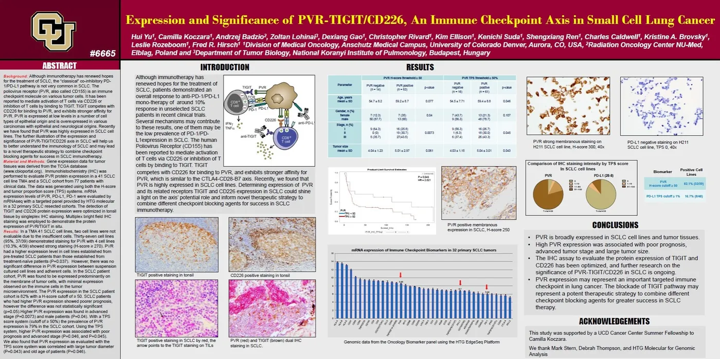 Kongressposter: Expression and Significance of PVR-TIGIT/CD226, An Immune Checkpoint Axis in Small Cell Lung Cancer (AACR Annual Meeting 2018)