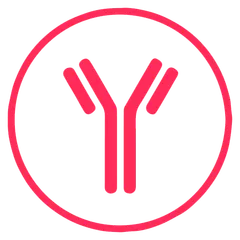 ONCOdianova-Icon: Antikörpersymbol
