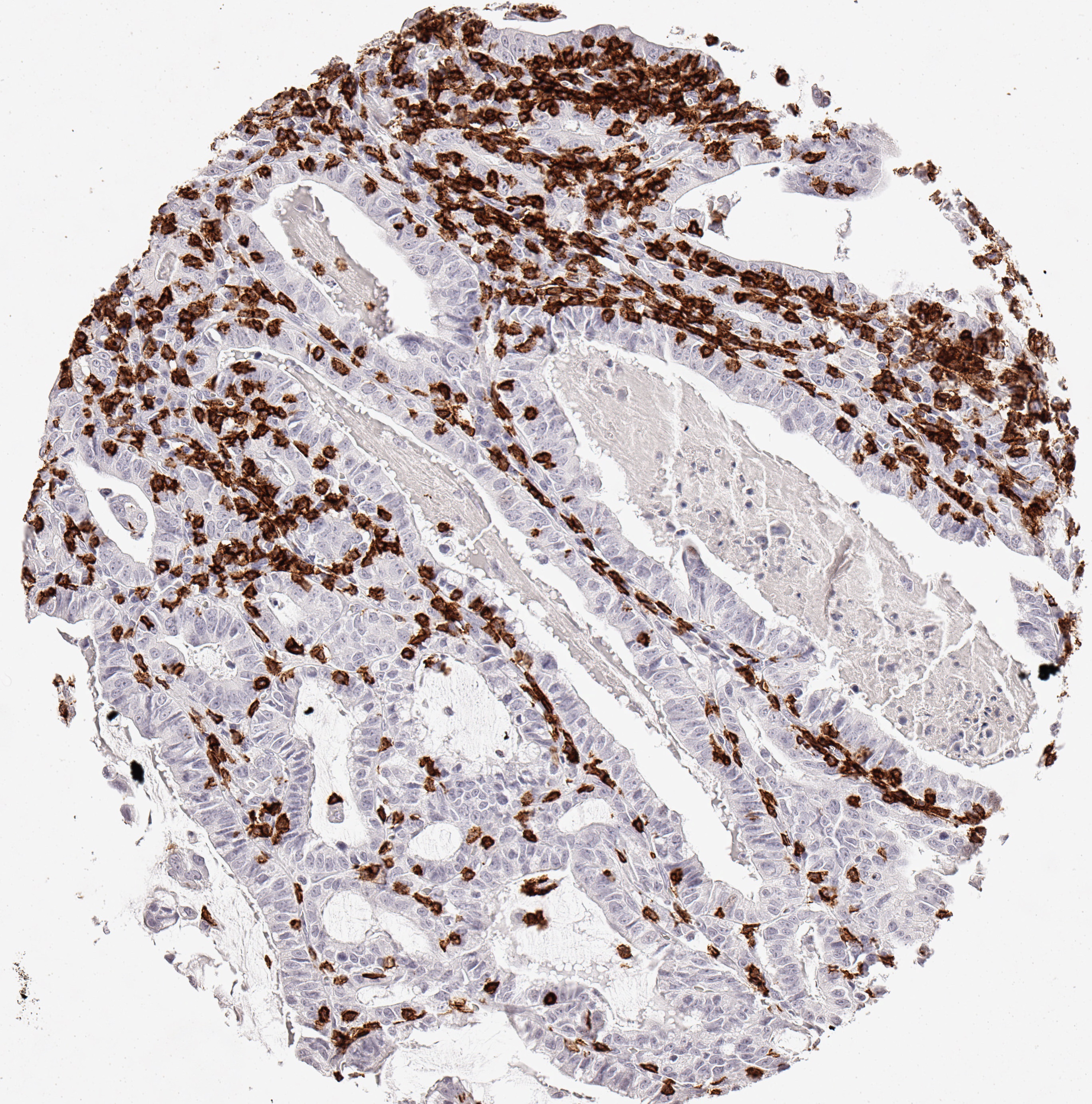 cd0887